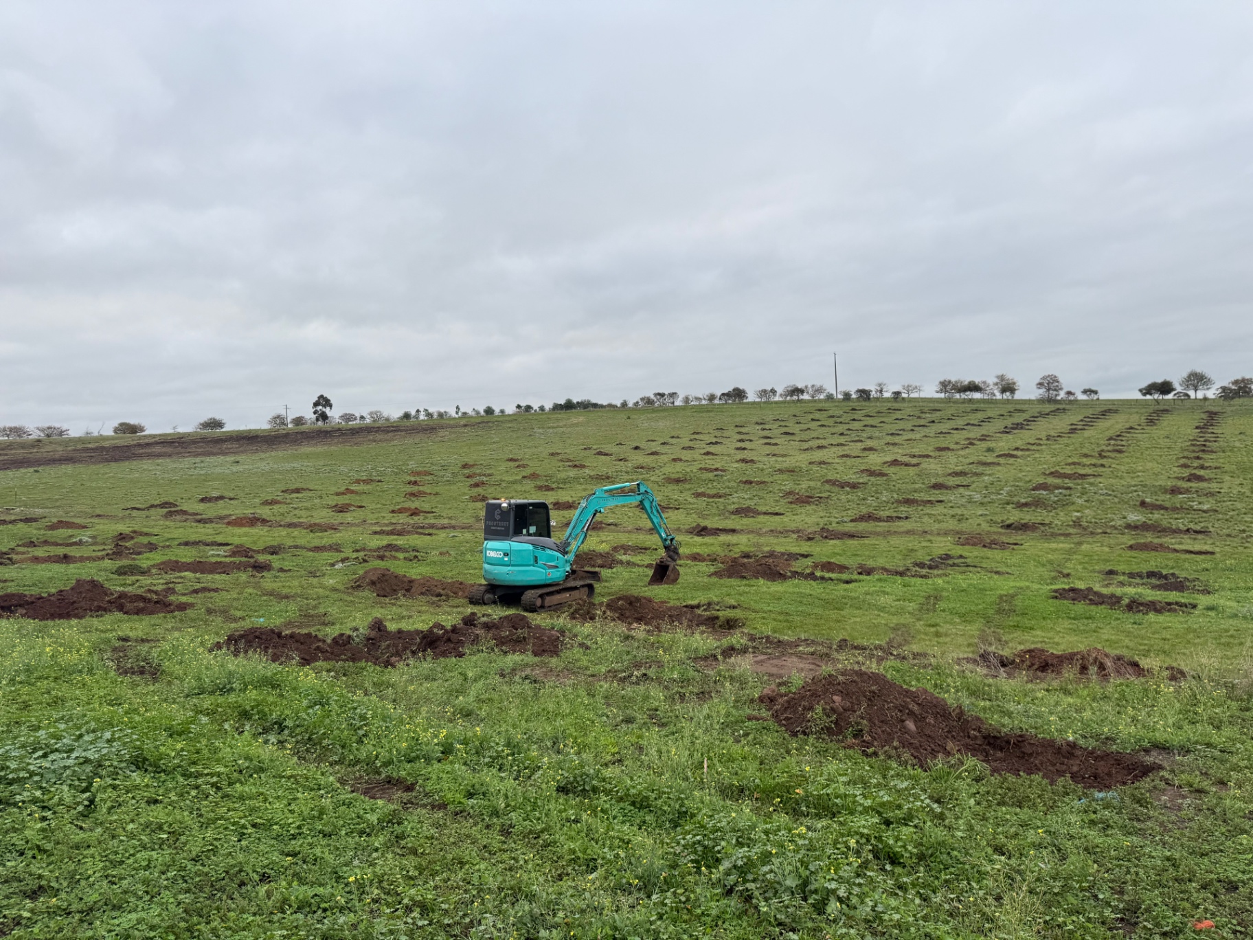 Rural Earthworks